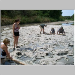 100_0515 (2009-26-07).JPG